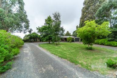 Farm Sold - VIC - Eagle Point - 3878 - 4 Bedrooms plus study on over 16 acres.  (Image 2)