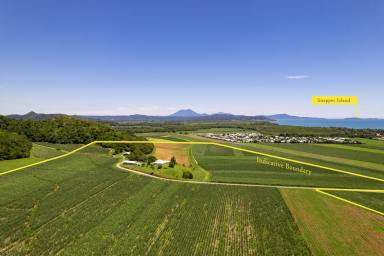 Farm Sold - QLD - Cooya Beach - 4873 - ELEVATED TROPICAL HOME AND FARM WITH BREATHTAKING VIEWS  (Image 2)
