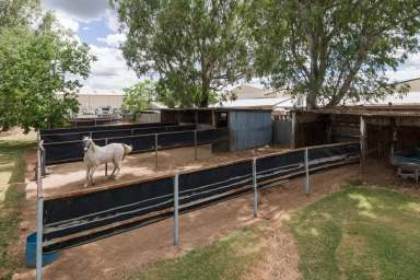 Farm Sold - NSW - Tamworth - 2340 - Fantastic Development Opportunity  (Image 2)