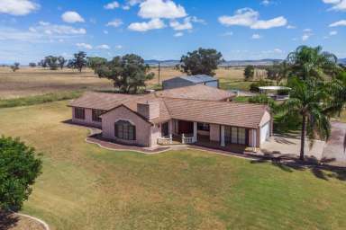 Farm Sold - NSW - Tamworth - 2340 - "Oakwind" Acreage, Views & Location  (Image 2)