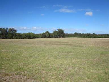 Farm Sold - WA - Capel River - 6271 - C A P E L    R I V E R    C L A S S I C  (Image 2)