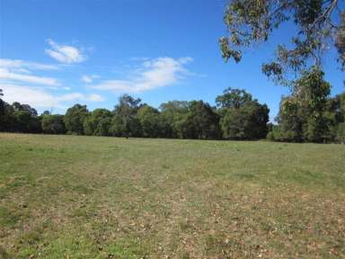 Farm Sold - WA - Capel River - 6271 - C A P E L    R I V E R    C L A S S I C  (Image 2)