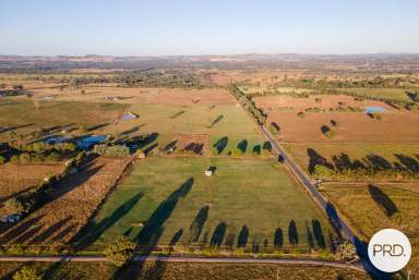 Farm Sold - NSW - Table Top - 2640 - PREMIUM LIFESTYLE OPPORTUNITY  (Image 2)