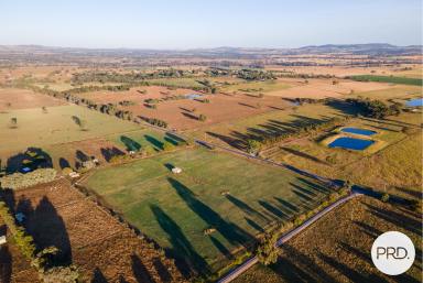 Farm Sold - NSW - Table Top - 2640 - PREMIUM LIFESTYLE OPPORTUNITY  (Image 2)