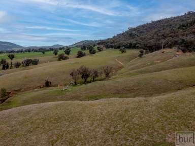 Farm Sold - VIC - Indigo Valley - 3688 - "Indigo Views"  (Image 2)