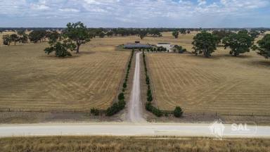 Farm Sold - SA - Naracoorte - 5271 - No Words!  A Magnificent Homestead positioned on 57 Acres  (Image 2)
