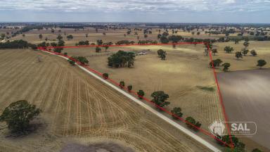 Farm Sold - SA - Naracoorte - 5271 - No Words!  A Magnificent Homestead positioned on 57 Acres  (Image 2)