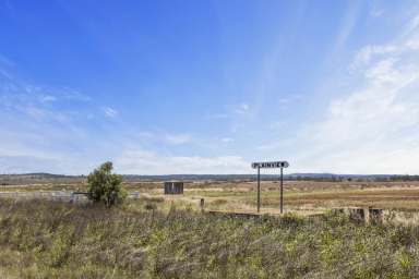 Farm Sold - QLD - Rosalie Plains - 4401 - "Plainview"  (Image 2)