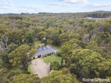 Farm Sold - NSW - Colo Vale - 2575 - Highlands Hideaway Set on 5 Acres!  (Image 2)