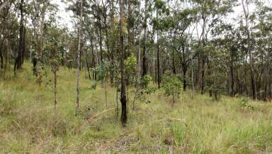 Farm Sold - NSW - Drake - 2469 - Peace and Quiet in the Hills  (Image 2)