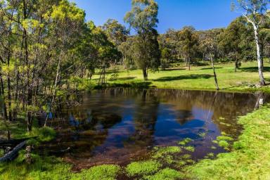 Farm Sold - NSW - Marulan - 2579 - Private Lifestyle 100 Acre Property, A Perfect Family Retreat, 4 Bedroom Home, Workshop, Machinery Shed, Separate Studio, Dams, Horse Paddock, Dams  (Image 2)