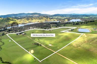 Farm Sold - VIC - Bonnie Doon - 3720 - Lifestyle Property with Lake Views on 72 Acres  (Image 2)