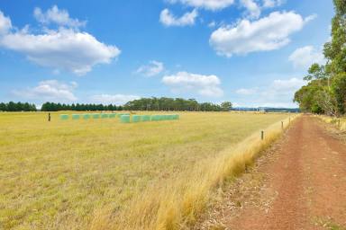Farm Sold - VIC - Jancourt East - 3266 - ATTRACTIVE QUALITY COBDEN-SIMPSON DISTRICT COUNTRY  (Image 2)
