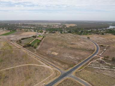 Farm Sold - NSW - Curlwaa - 2648 - 13 glorious acres of farming land close to Mildura  (Image 2)