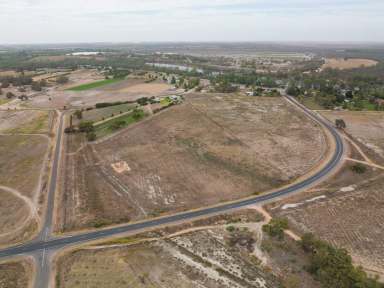 Farm Sold - NSW - Curlwaa - 2648 - 13 glorious acres of farming land close to Mildura  (Image 2)