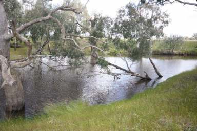 Farm Sold - VIC - Echuca - 3564 - Absolute River Frontage  (Image 2)