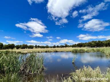 Farm Sold - NSW - Young - 2594 - A DAM GOOD PLACE!!  (Image 2)