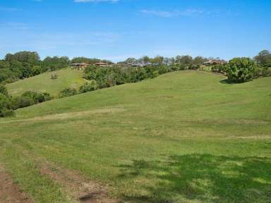 Farm Sold - NSW - Richmond Hill - 2480 - Private Oasis  (Image 2)