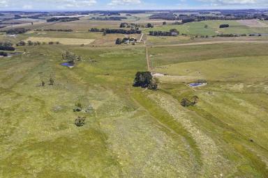 Farm Sold - VIC - Newfield - 3268 - Beautiful Rolling Hills of Newfield  (Image 2)