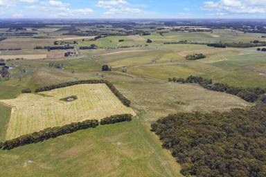 Farm Sold - VIC - Newfield - 3268 - Beautiful Rolling Hills of Newfield  (Image 2)