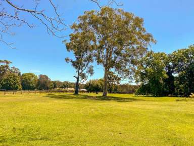 Farm Sold - NSW - Mitchells Island - 2430 - 2 HOMES IN ONE ON 20HA (50 ACRES)  (Image 2)