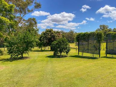 Farm Sold - NSW - Coopernook - 2426 - Spring Hill  (Image 2)