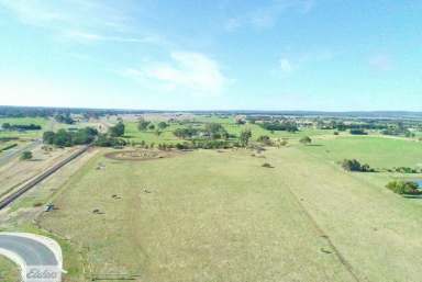 Farm Sold - VIC - Rosedale - 3847 - OPPORTUNITY AWAITS  (Image 2)