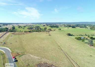 Farm Sold - VIC - Rosedale - 3847 - OPPORTUNITY AWAITS  (Image 2)