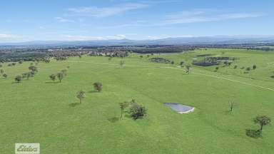 Farm Sold - VIC - Briagolong - 3860 - Land with a View  (Image 2)