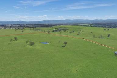 Farm Sold - VIC - Briagolong - 3860 - Land with a View  (Image 2)