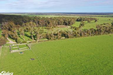 Farm For Sale - VIC - Hedley - 3967 - FARMLAND OPPORTUNITY AT HEDLEY  (Image 2)