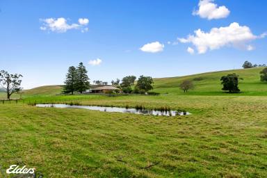 Farm For Sale - VIC - Jack River - 3971 - PICTURE POSTCARD SETTING WITH PLENTY OF PRIVACY  (Image 2)
