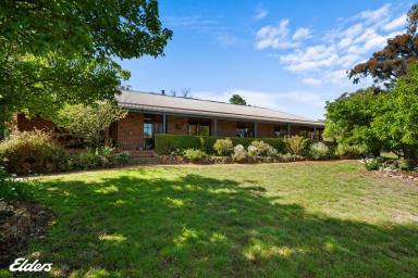 Farm Sold - VIC - Briagolong - 3860 - A QUIET COUNTRY LIFE  (Image 2)