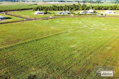 Farm Sold - QLD - Feluga - 4854 - Feluga's Newest and Cheapest Subdivison  (Image 2)