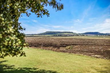 Farm Sold - QLD - Nobby - 4360 - Under Contract  (Image 2)