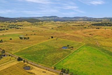 Farm Sold - NSW - Tenterfield - 2372 - Acreage atop the Great Divide.....  (Image 2)