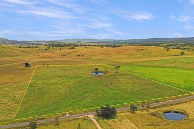 Farm Sold - NSW - Tenterfield - 2372 - Acreage atop the Great Divide.....  (Image 2)