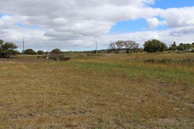 Farm Sold - VIC - Macarthur - 3286 - Hobby Farm Block  (Image 2)