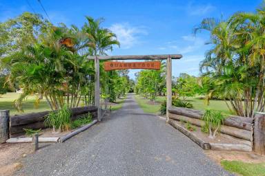 Farm For Sale - QLD - Burrum River - 4659 - RIVERFRONT JEWEL WITH INCREDIBLE WATER VIEWS ON PEACEFUL ACREAGE!  (Image 2)
