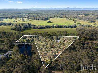 Farm Sold - NSW - Lovedale - 2325 - MODERN ACREAGE HOME IN WINE COUNTRY  (Image 2)