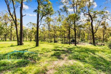 Farm Sold - NSW - Glossodia - 2756 - Family home on serene acreage with potential for dream living   (Image 2)