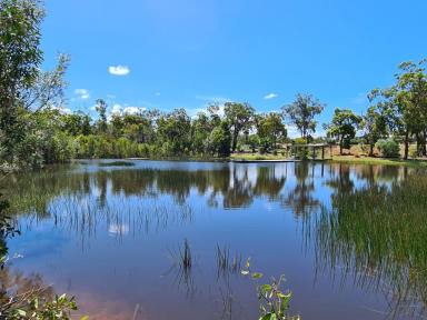 Farm Sold - QLD - Deepwater - 4674 - 40 ACRES, SEA BREEZES, HUGE DAM, BEAUTIFUL MODERN 2 BED HOME, OFF GRID SOLAR  (Image 2)