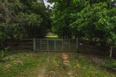 Farm Sold - NSW - Glen Elgin - 2370 - Tucked Away From The Stresses Of The World  (Image 2)