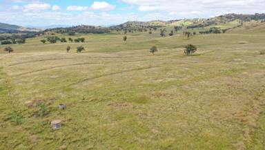Farm Sold - NSW - Tamworth - 2340 - SCALE, PROXIMITY TO TAMWORTH, SIGNIFICANT UPSIDE  (Image 2)