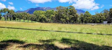 Farm Sold - TAS - Paradise - 7306 - Under Contract - Country Living - Prime Agriculture and Native Bush Setting  (Image 2)