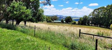 Farm Sold - TAS - Paradise - 7306 - Under Contract - Country Living - Prime Agriculture and Native Bush Setting  (Image 2)