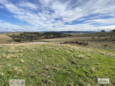 Farm Sold - VIC - Glenmaggie - 3858 - Knock-Out Views  (Image 2)