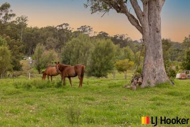 Farm Sold - NSW - Moruya - 2537 - Serene Scene, House on Acres  (Image 2)