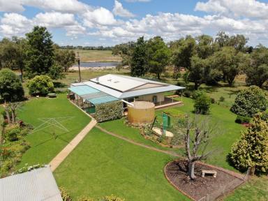 Farm Sold - NSW - Gidginbung - 2666 - Quality Rural Lifestyle Opportunity!  (Image 2)