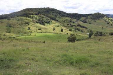 Farm Sold - QLD - Calico Creek - 4570 - KING OF THE VALLEY  (Image 2)